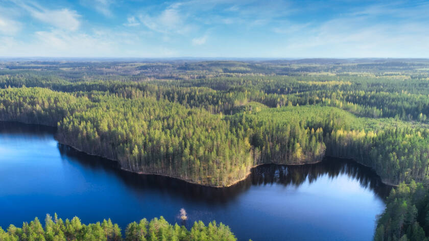 Huosion kesäistä metsää ja Huosionjärvi ilmasta kuvattuna
