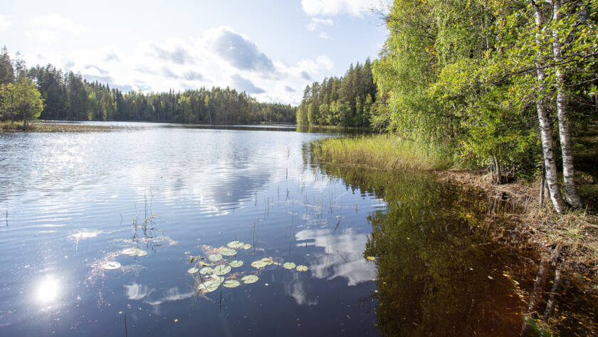 Huosionjärven rantaa kesällä.