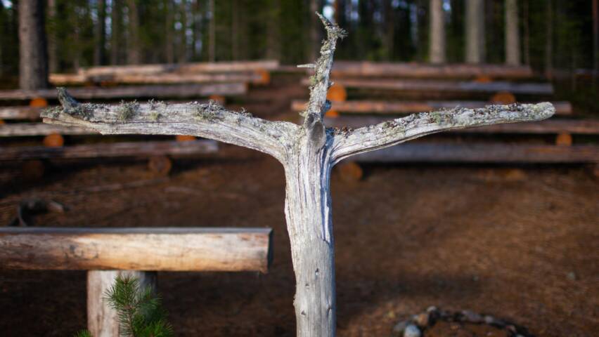 Ristin muotoinen puunoksa ristinä Huosion metsäkirkossa.