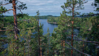Linnansaaren luontokirkko su 14.6.